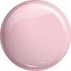 Pure 148 - Pink Astromeria